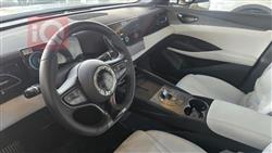 بي واي دي سيل 06 DM-i